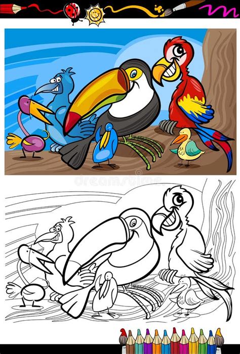 Groupe Exotique Doiseaux Pour Livre De Coloriage Illustration De