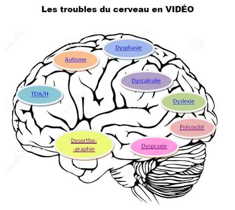 Troubles Sp Cifiques Du Langage Et Des Apprentissages Tsla P Le Ash