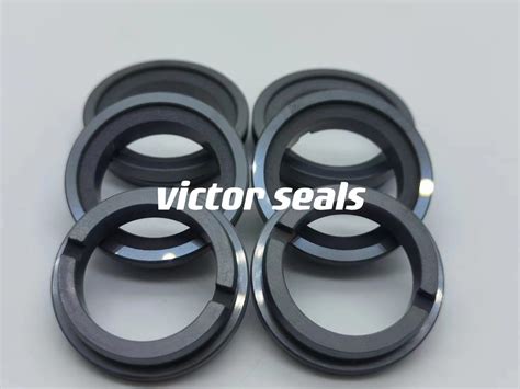 OEM Pump Seal OEM Mechanical Seals Sic Ring Silicon Carbide