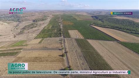 Fermierii își vor putea achita impozitele din suma TVA acumulată AGRO