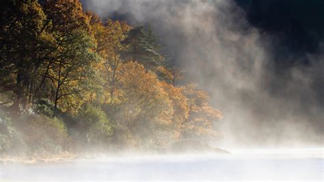 Wallpaper Sunlight Trees Landscape Forest Nature Reflection