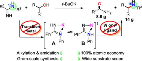 Base Mediated Amination Of Alcohols Using Amidines The Journal Of