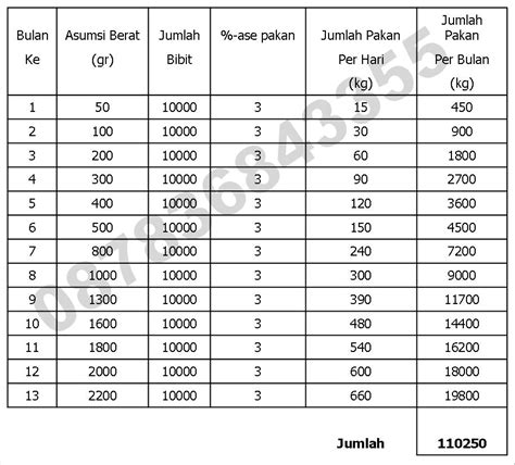 Pakan Ikan Patin Trik Sukses Budidaya Ikan