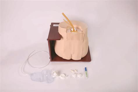 Lumbar Puncture Simulator Tellyes Scientific Inc