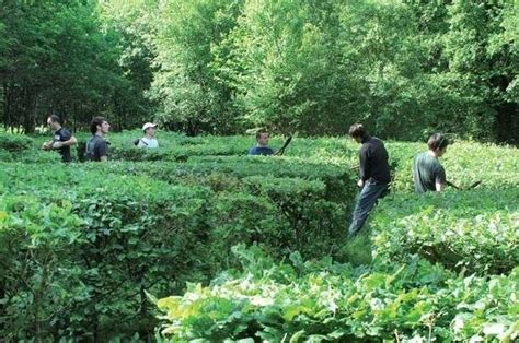 AJJH A ELU LE JARDIN DU CHÂTEAU SAINT BERNARD JARDIN DE L ANNEE 2013