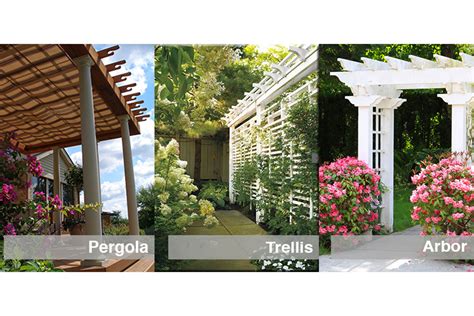 Pergola Trellis Or Arbor How Can You Tell The Difference