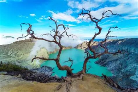 WNA China Tewas Setelah Terjatuh Di Kawah Ijen Saat Berfoto Begini