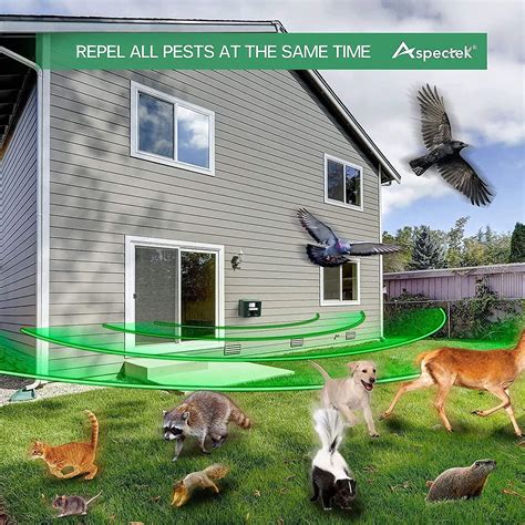 Répulsif antiparasitaire animal extérieur à ultrasons Yard Sentinel Rc