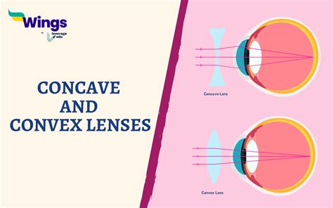 Concave And Convex Lens Difference Examples And More