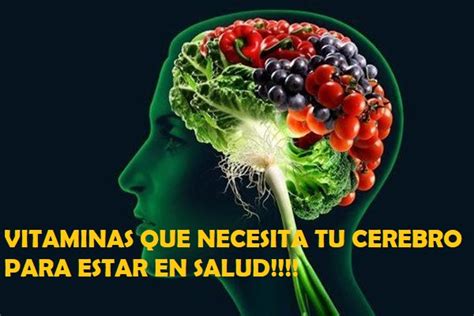 Vitaminas Beneficiosas Para Tu Cerebro Que Debes Consumir De Inmediato