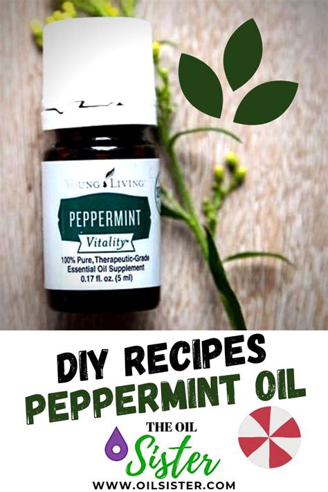 The Ultimate Guide To Peppermint Essential Oil Peppermint Essential