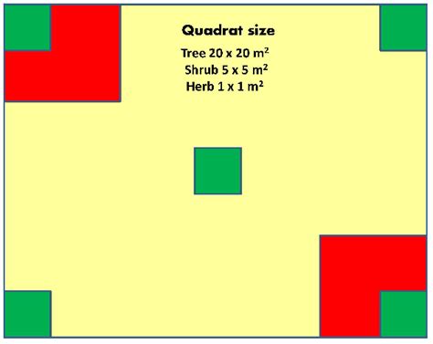 Quadrat for vegetation analysis. | Download Scientific Diagram