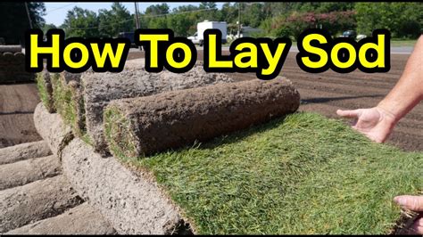 How To Lay Sod Youtube