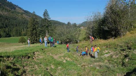 Alpenverein Mindelheim Familiengruppe Wandern Im Herbst