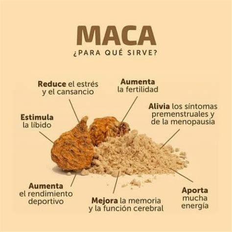 Conoce todo sobre la Maca Intikisa Perú