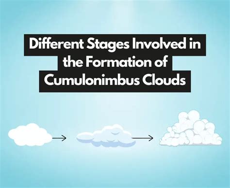 How are Cumulonimbus Clouds Formed? (Surprising Facts!)