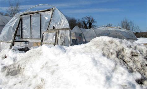 Conn Farmers Cope With Snow Collapsed Buildings