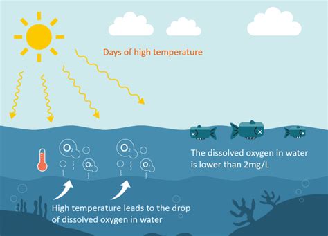 What Is Dissolved Oxygen Apure