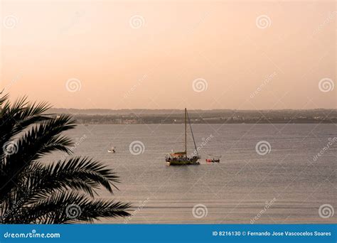 Can pastilla beach stock photo. Image of tourism, palm - 8216130