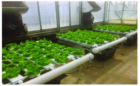 Nutrient Film Technology Nft System Units With Four Channels