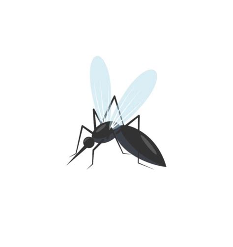 ai  mosquito icon vector