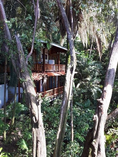 Ocean Jungle Bungalow Manuel Antonio Sleeps Bungalows For Rent In