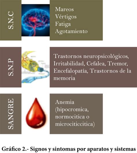 Intoxicaci N Por Plomo Normas Pr Cticas Para Su Reconocimiento