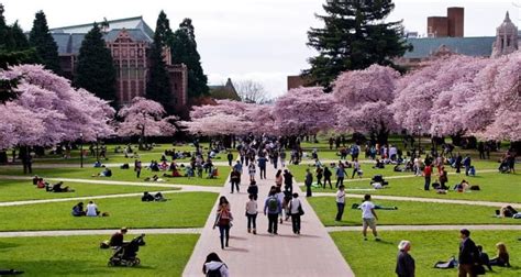 University of Washington quad : r/campuses