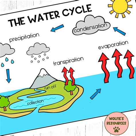 Water Cycle Diagram and Activity - Etsy