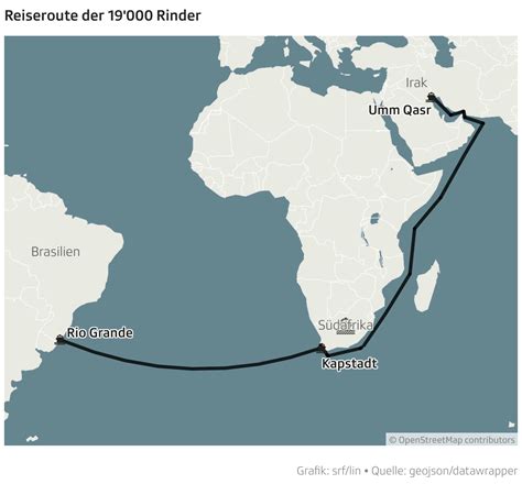 Tiere In Kot Und Ammoniak 19 000 Rinder An Bord Frachter Vor