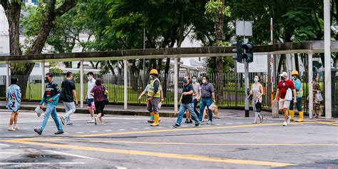 spores xbb wave expected  peak  mid nov vulnerable individuals