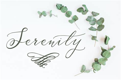 Serenity And Olivia Script Font 43224 Script Font Bundles