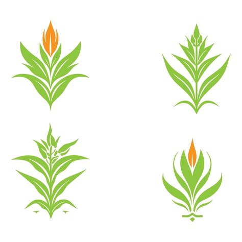 Premium Vector Corn Plant Logo Premium Vector And Illustration