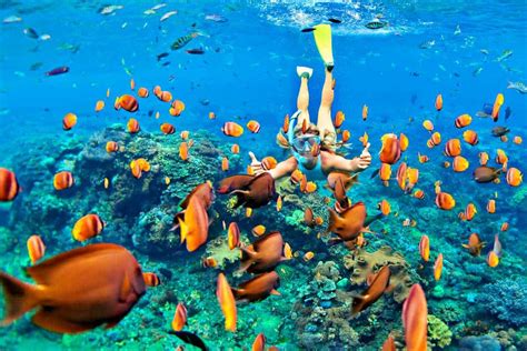 The 9 Best Snorkeling In West Oahu: 2025 Ultimate Guide