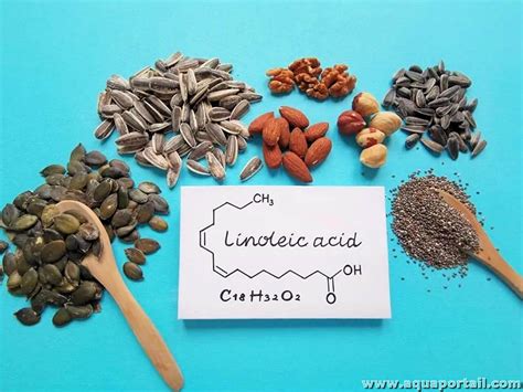 Acide muginéique définition et explications