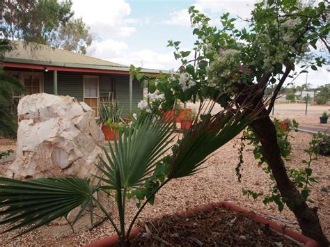 Lightning Ridge Outback Resort & Caravan Park - Motels 1 Onyx St ...