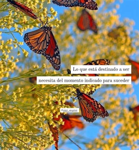 Pin De Alba Martinez En Favorite Quotes Mejores Frases De Libros