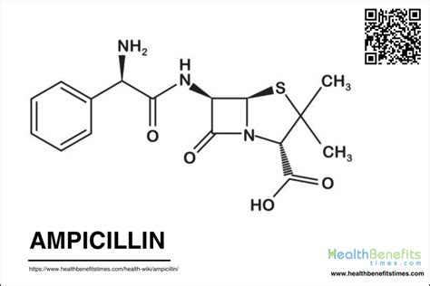 What Is Ampicillin Uses Side Effects And Warnings Health Benefits