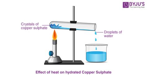 Class 9 Chemistry Practical S And Experiments On The Reaction Of