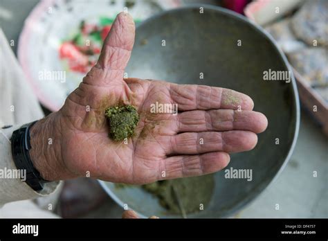 shopkeeper rolling niswar  type  chewing tobacco  hand