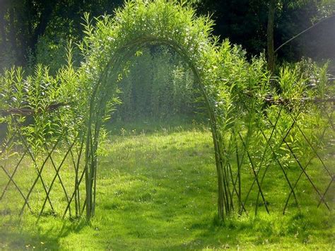 Living Outdoor Willow Structures You Can Grow In Your Backyard