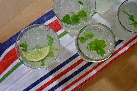 Cilantro Limeade Shutterbean