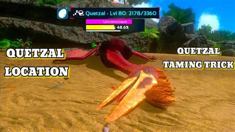 Quetzal Find Location Easy Taming Trick Work Multi Player And