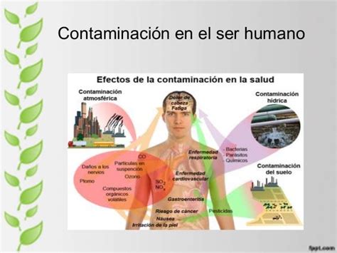 Efectos De La Contaminacion Ambiental En Los Seres Humanos Images