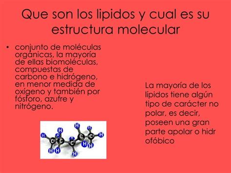 De Donde Obtiene Energia El Cuerpo PPT