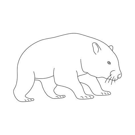 Premium Vector Wombat In Line Art Drawing Style Vector Illustration