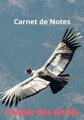 Carnet De Notes Condor Des Andes Condor Des Andes Grand Format 7 X