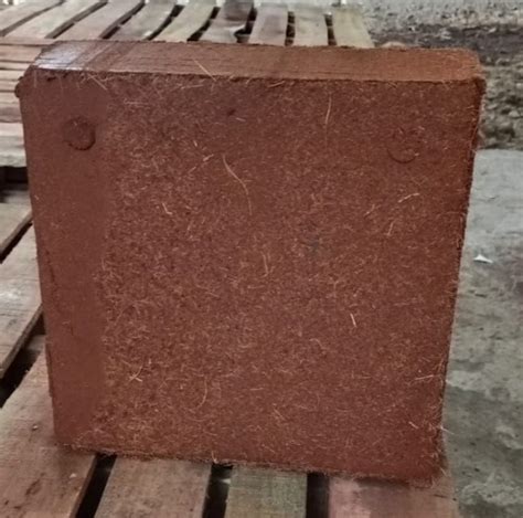 Cocopeat Block Powder Inaexport