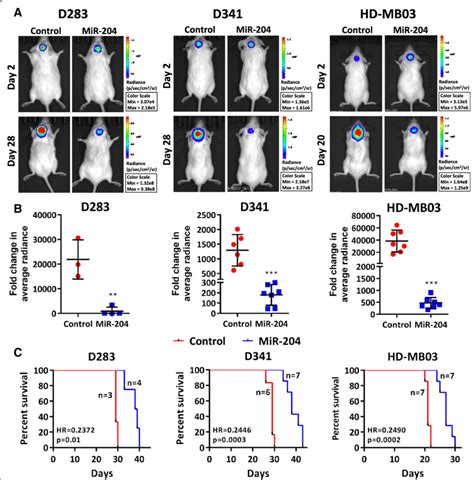 Effect Of Mir Expression On Tumorigenicity Of The Medulloblastoma