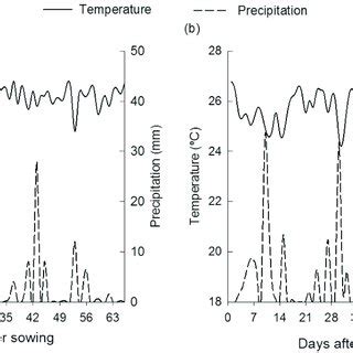 Average air temperature ºC and precipitation mm in Capitão Poço